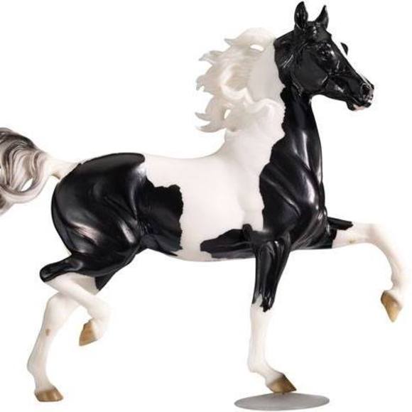 Meet your Posher, Dawn - Picture 1 of 1